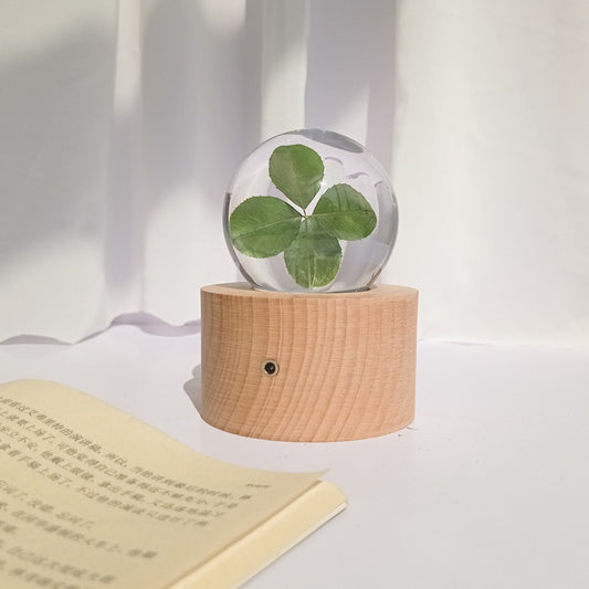 Natural Lucky Four-Leaf Clover Plant Specimen Night Light Decoration Crystal Ball